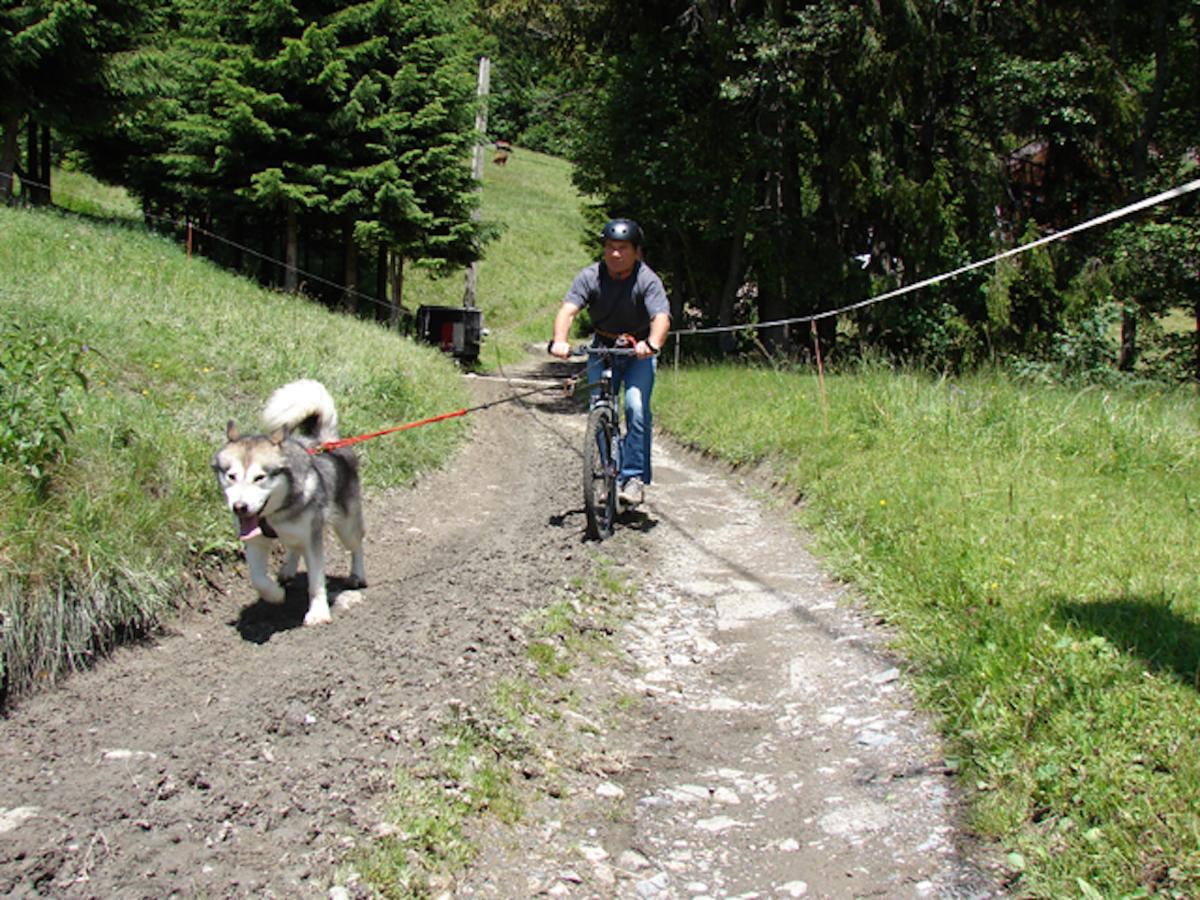 Les Chalets Autrichiens - Megeve Bagian luar foto